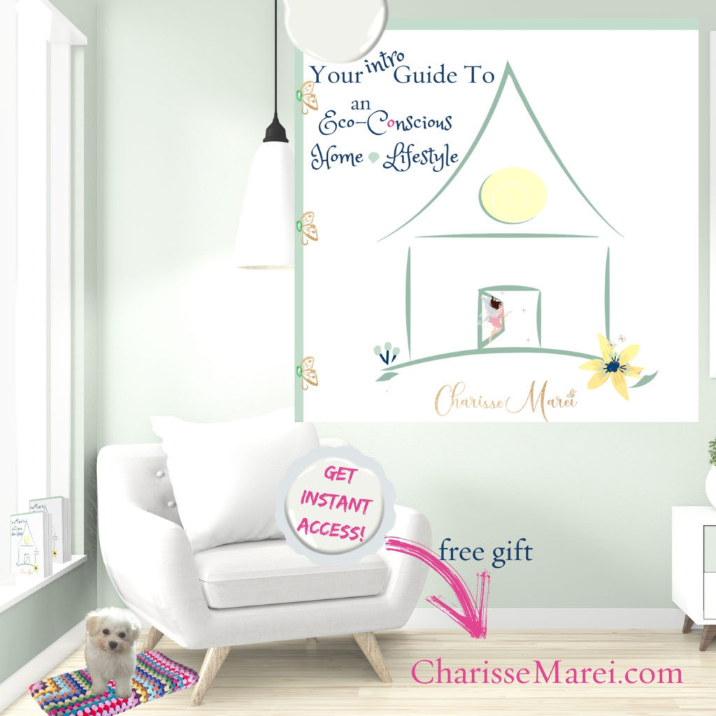 Create a Healthy Home Free Guide Download at Charisse Marei website