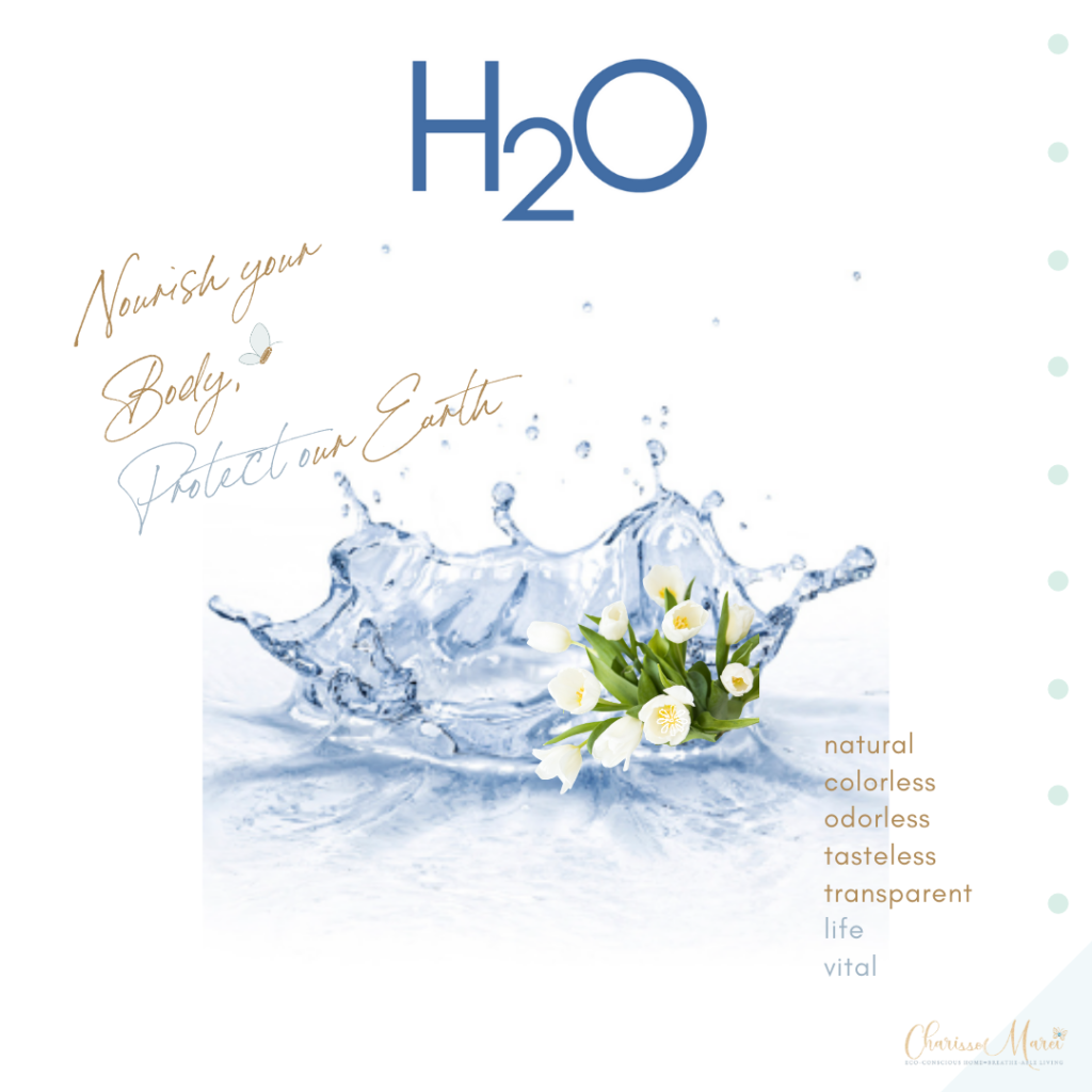 Water Consciousness H2O Nourish Your Body, Protect Our Earth written by Charisse Marei